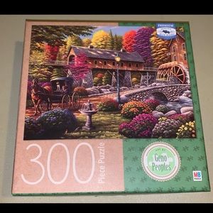 300 piece puzzle